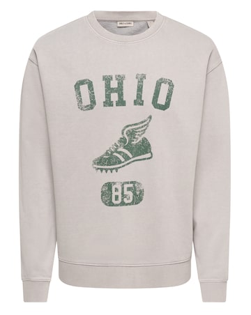 Only & Sons Creative College Relaxed Washed Crew Sweat - Light Grey