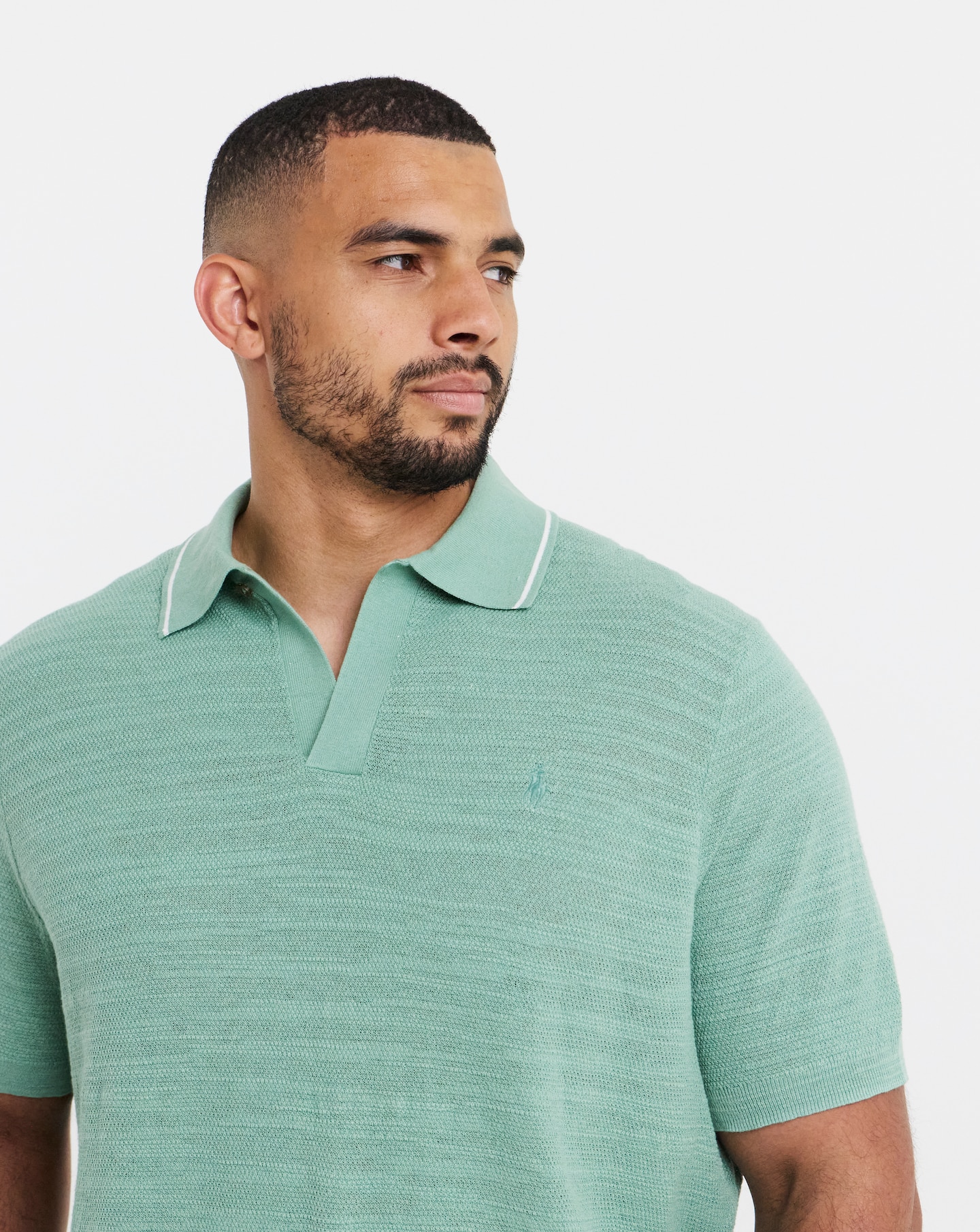 Polo Ralph Lauren Short Sleeve Knitted Polo - Mint | Jacamo