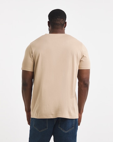 Pure Cotton V Neck T-Shirt Long Length-Stone