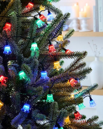 Multicolour Retro Petal LED String Lights