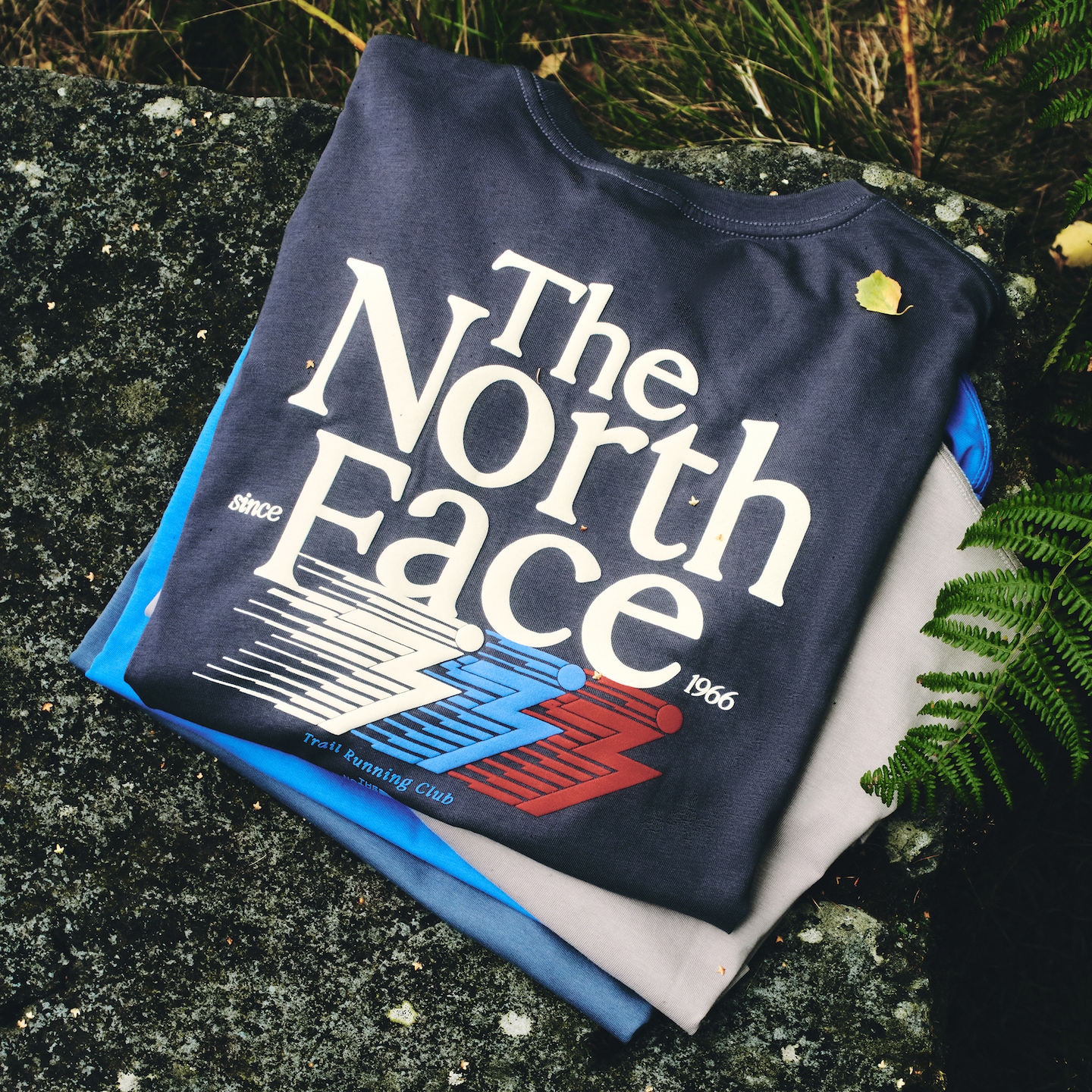 Graphic T-shirts from The North Face