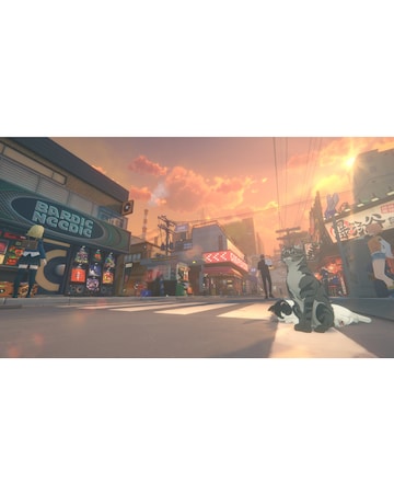 Zenless Zone Zero - Collectors Edition (PS5)