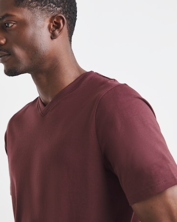 Pure Cotton V Neck T-Shirt Long