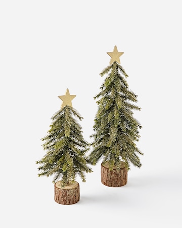 Gisela Graham Set of 2 Bristle Trees with Star Topper - 39cm and 30cm