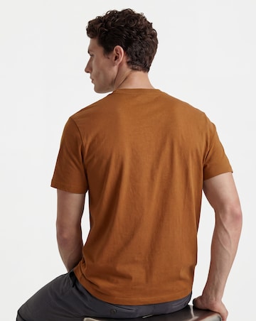 Pure Cotton Crew Neck T-Shirt Long - Rust