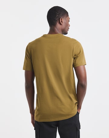 Pure Cotton V Neck T-Shirt Long