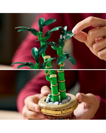 LEGO Botanicals Lucky Bamboo 10344