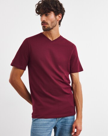 Pure Cotton V-Neck T-shirt Long