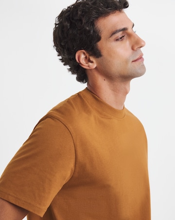 Pure Cotton Crew Neck T-Shirt Long - Rust