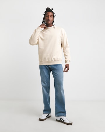 Relaxed Fit Crew Neck Sweatshirt- Stone