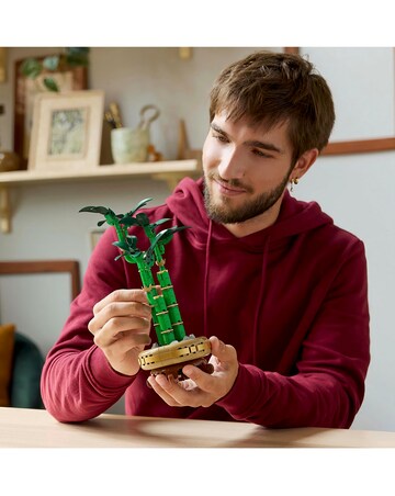 LEGO Botanicals Lucky Bamboo 10344