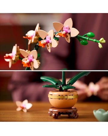LEGO Botanicals Mini Orchid 10343