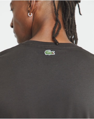 Lacoste Short Sleeve Graphic T-Shirt - Brown