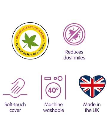 Slumberdown Anti Allergy 4.5 Tog Duvet
