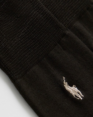 Polo Ralph Lauren 2 Pack Mercerized Crew Sock - Dark Brown