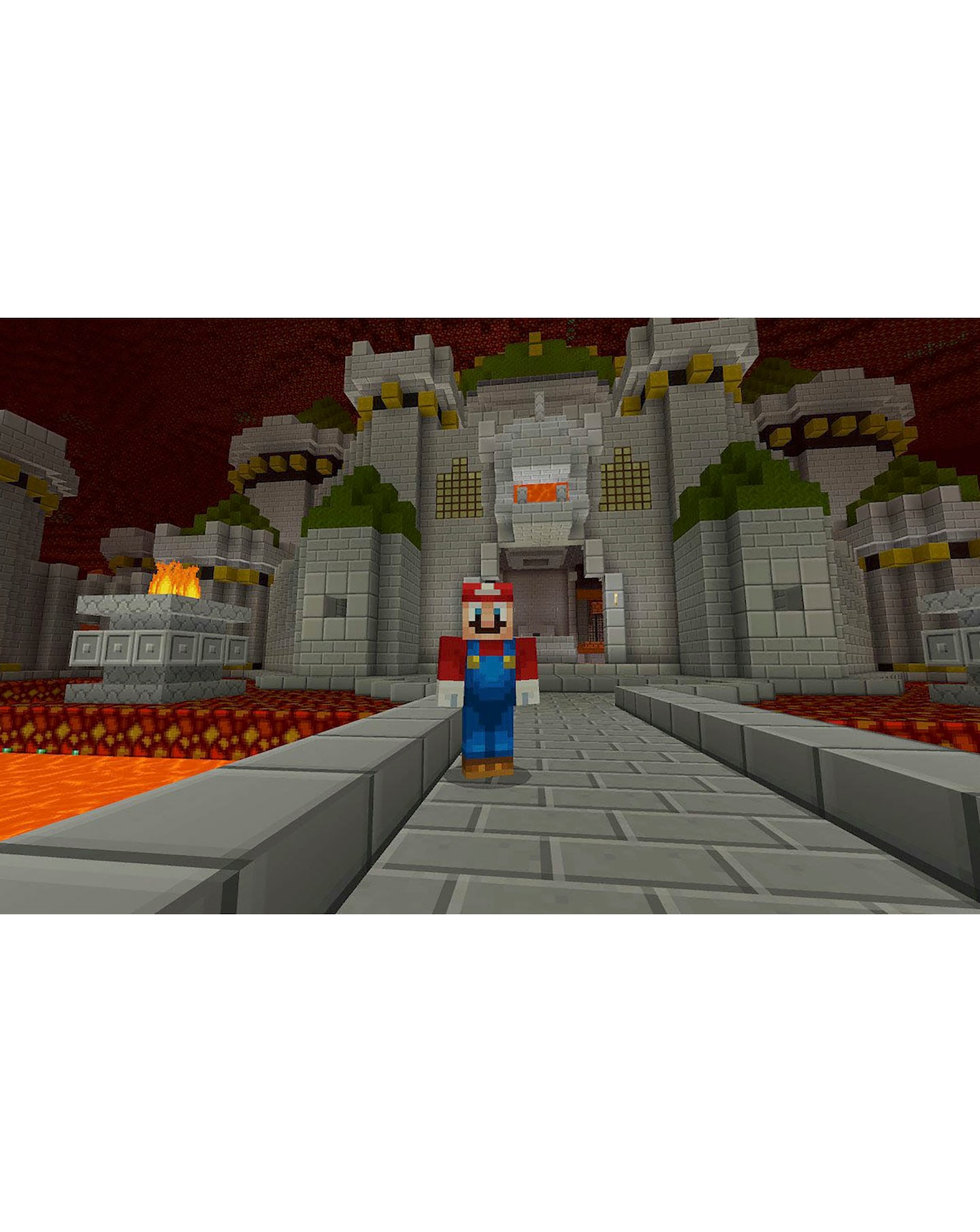 Minecraft Nintendo Switch Jacamo