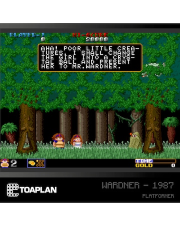 Toaplan Arcade Collection (Blaze Evercade)
