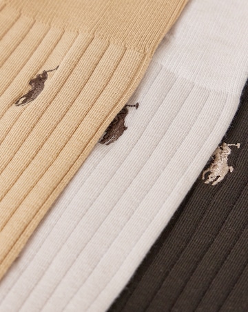 Polo Ralph 3 Pack Egyptian Rib Crew Sock - Brown