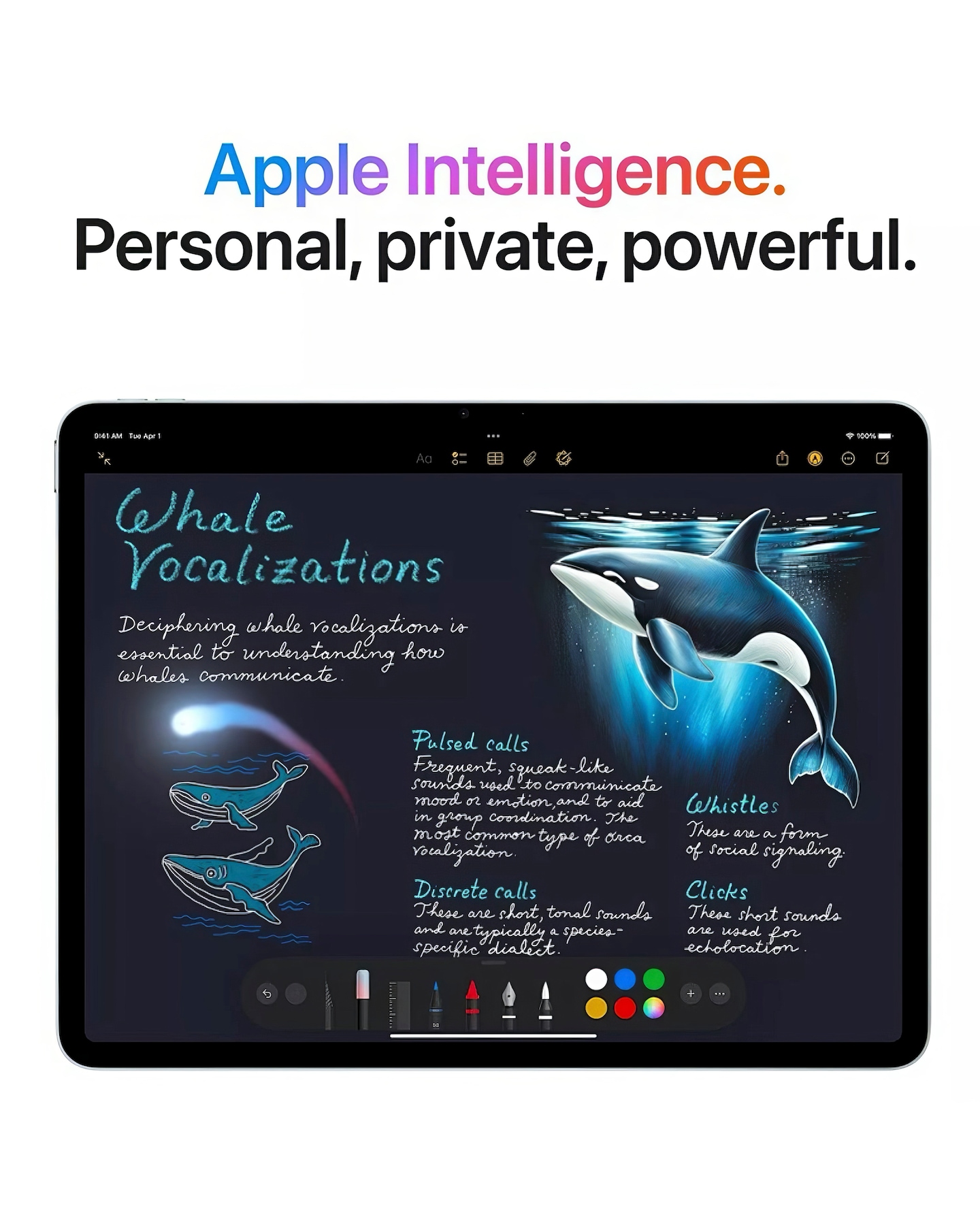 Apple iPad Air (2025) 11inch Wi-Fi 256GB - Blue | Jacamo