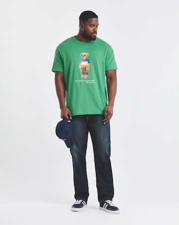 Polo Ralph Lauren Short Sleeve Beach Bear T-Shirt - Green