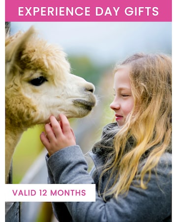 Alpaca Walk for a Family of Four - Experience Voucher