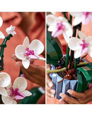 LEGO Botanicals Orchid 10311
