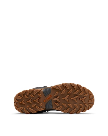 Columbia Newton Ridge Plus II Suede Waterproof Trainers