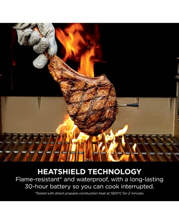 Ninja WP100EU Wireless Thermometer (Indoor and Outdoor)