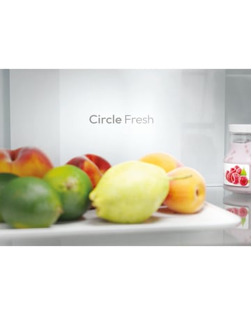 HOOVER HONCQ2T618EBK 60 x 185cm Refrigerator (Black)