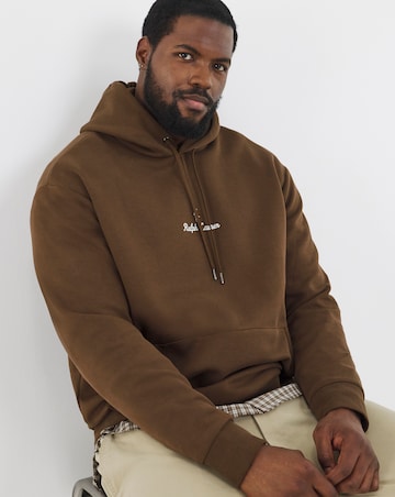 Polo Ralph Lauren Double Knit Tech Logo Hoodie - Brown