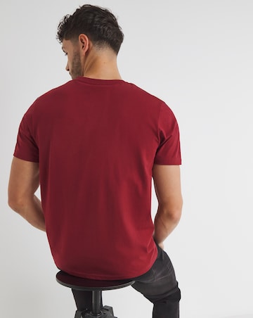 Pure Cotton V Neck T-Shirt Long- Cranberry