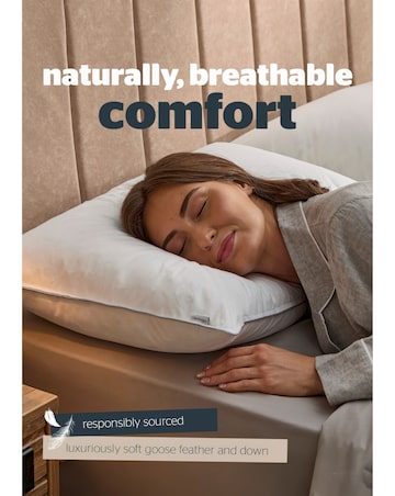 Silentnight Naturals Collection Goose Feather Pillow