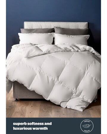 Silentnight Duck Feather & Down Anti-Allergy 10.5 Tog Duvet