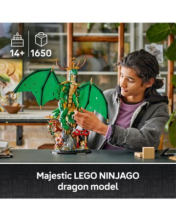 LEGO NINJAGO The Guardian Dragon