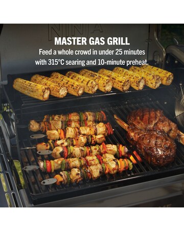 Ninja FlexFlame Outdoor Cooking System + Pro Connect App Barbecue PG305UK