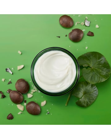 Weleda Skin Food Nourishing Night Cream