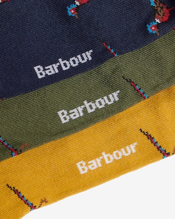 Barbour Pheasant Socks Gift Box - Forest