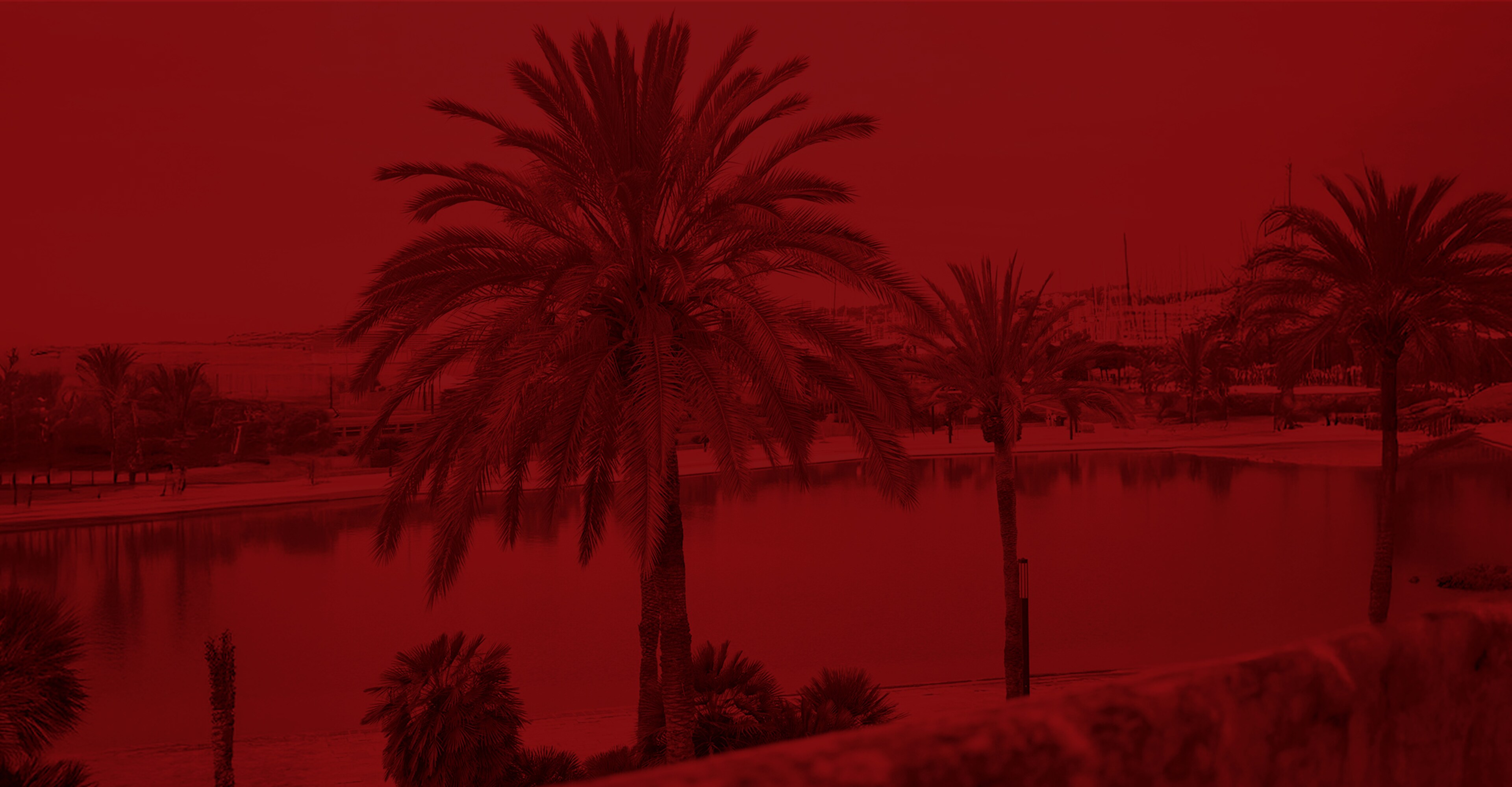 The Big Summer Sale up to 50% off* Sale red with palm tree backdrop