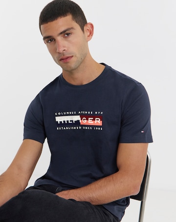 Tommy Hilfiger Short Sleeve Colour Block Graphic T-Shirt - Navy