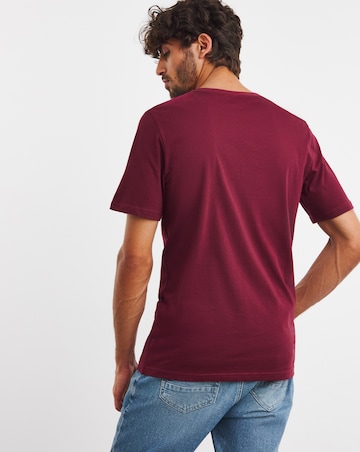 Pure Cotton V-Neck T-shirt Long