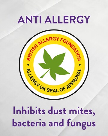 Slumberdown Anti Allergy Firm Pillows - 2 Pack