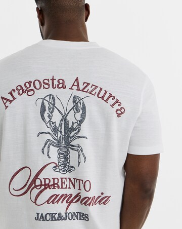 Jack & Jones Cassis Sketch Back Print Tee