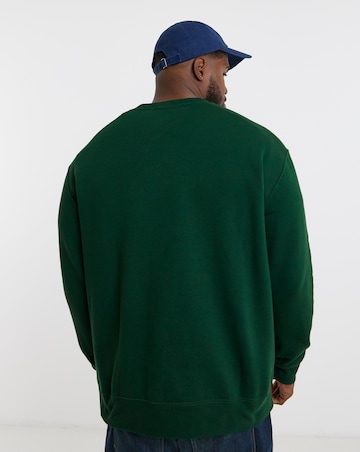 Polo Ralph Lauren Christmas Bear Crew Sweat - Green