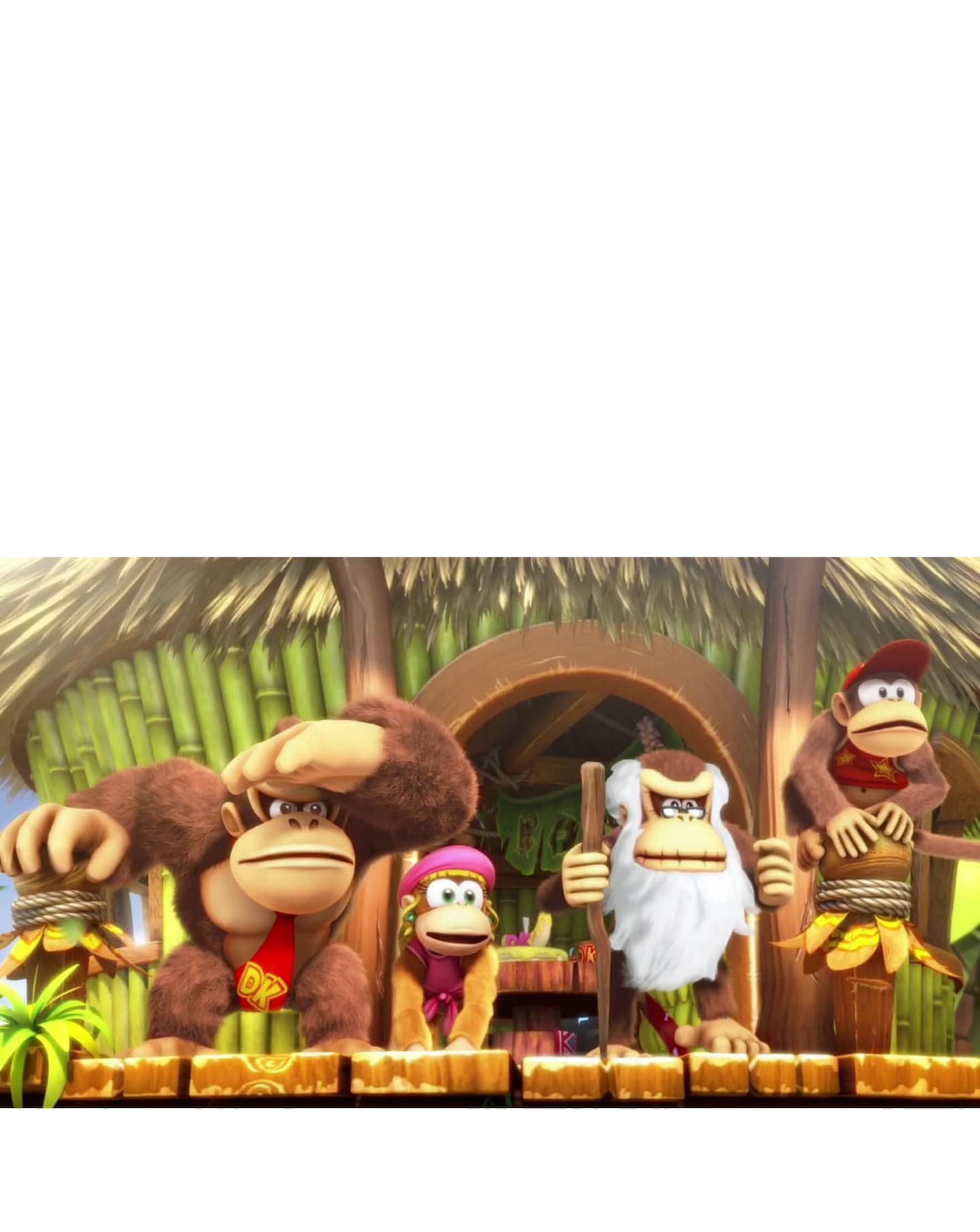 Donkey Kong Country: Tropical Freeze (Nintendo Switch) | Jacamo