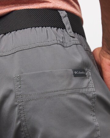 Columbia Silver Ridge Cargo Shorts