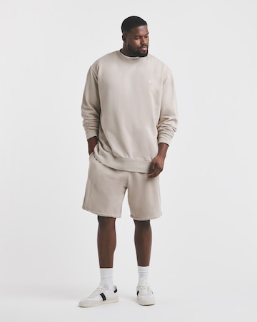 Polo Ralph Lauren Terry Crew Sweat - Stone