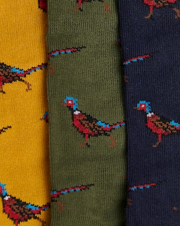 Barbour Pheasant Socks Gift Box - Forest