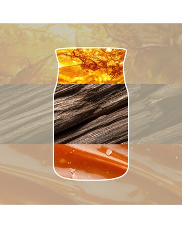 Yankee Candle Signature Large Amber and Sandalwood