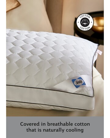 Sealy Side Sleeper Pillow
