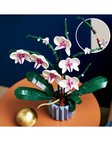 LEGO Botanicals Orchid 10311